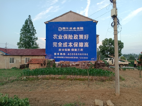 西林墙体广告的优劣势你知道吗？