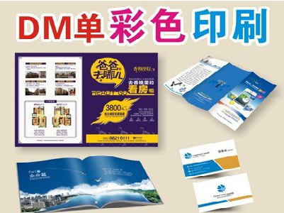 西林单页印刷,色彩搭配简单。